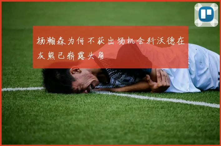 杨瀚森为何不获出场机会科沃德在灰熊已崭露头角
